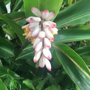 Meet your Posher, Sage